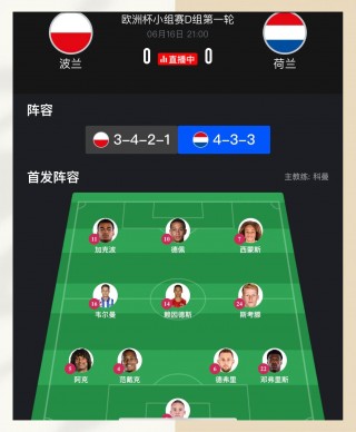 荷兰1-0波兰：欧洲杯资格赛激烈对抗的简单介绍